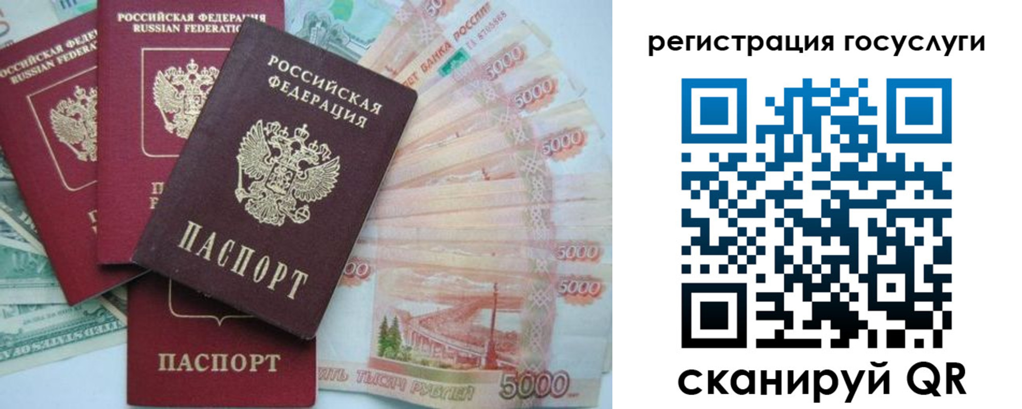 прописка иностранных граждан в Московской области